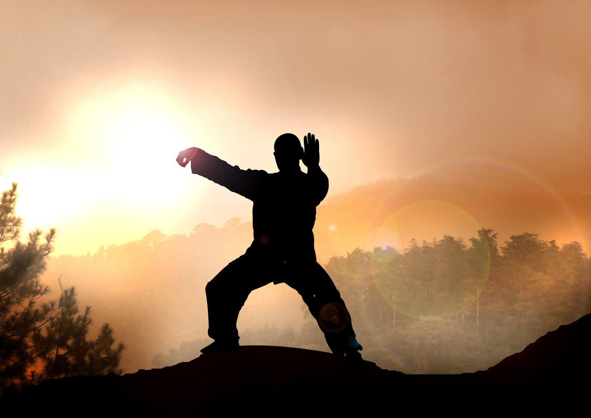 Why Traditional Martial Arts Are Making A Comeback